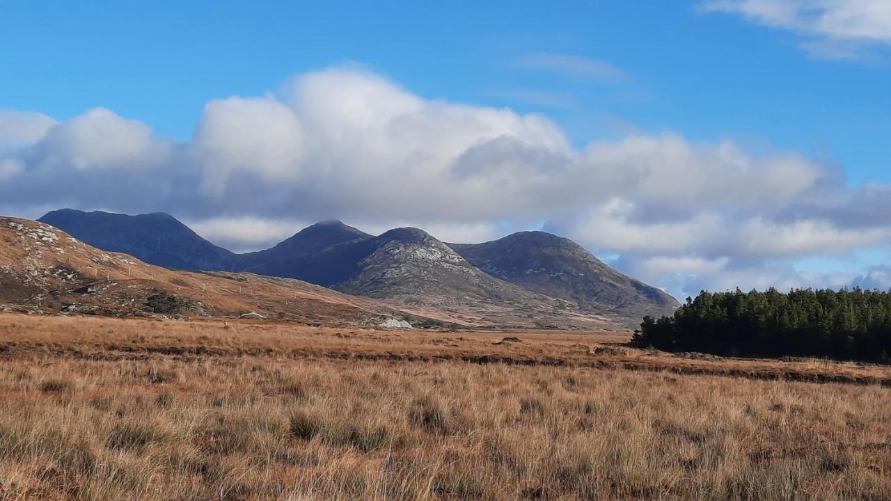Clifden Wildflower Cottage - Clifden Countryside Lettings Bagian luar foto