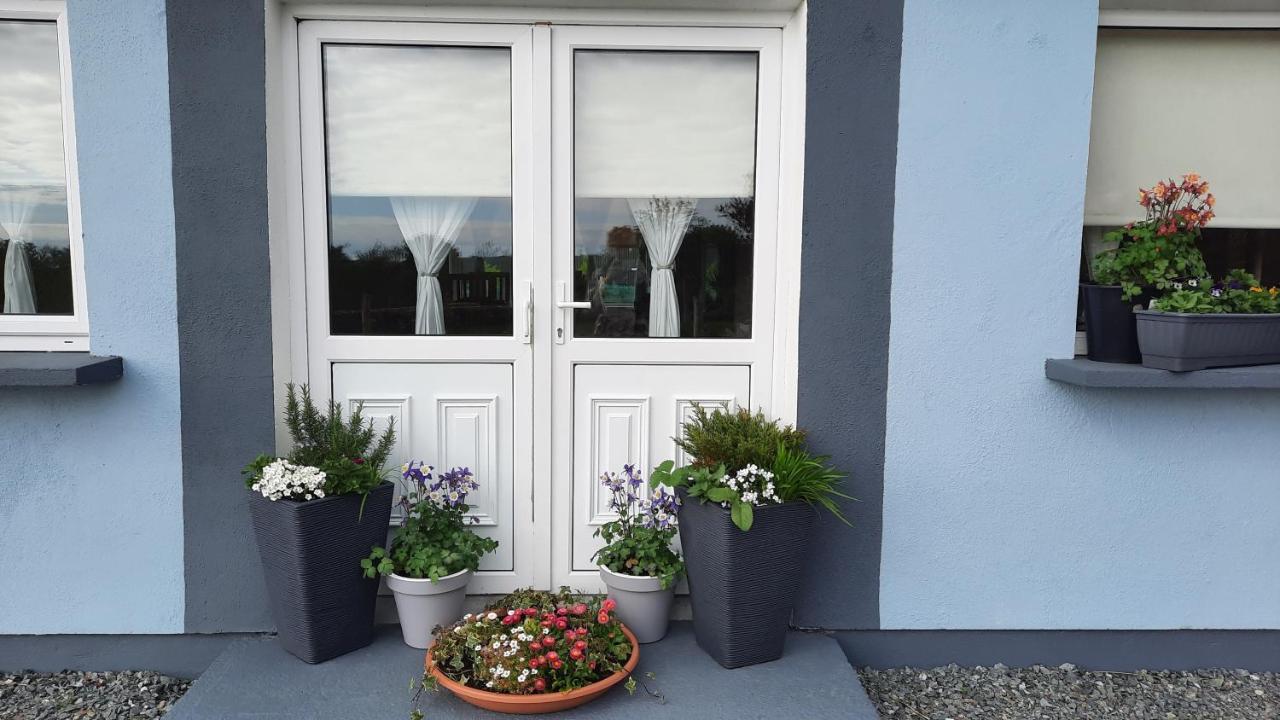 Clifden Wildflower Cottage - Clifden Countryside Lettings Bagian luar foto