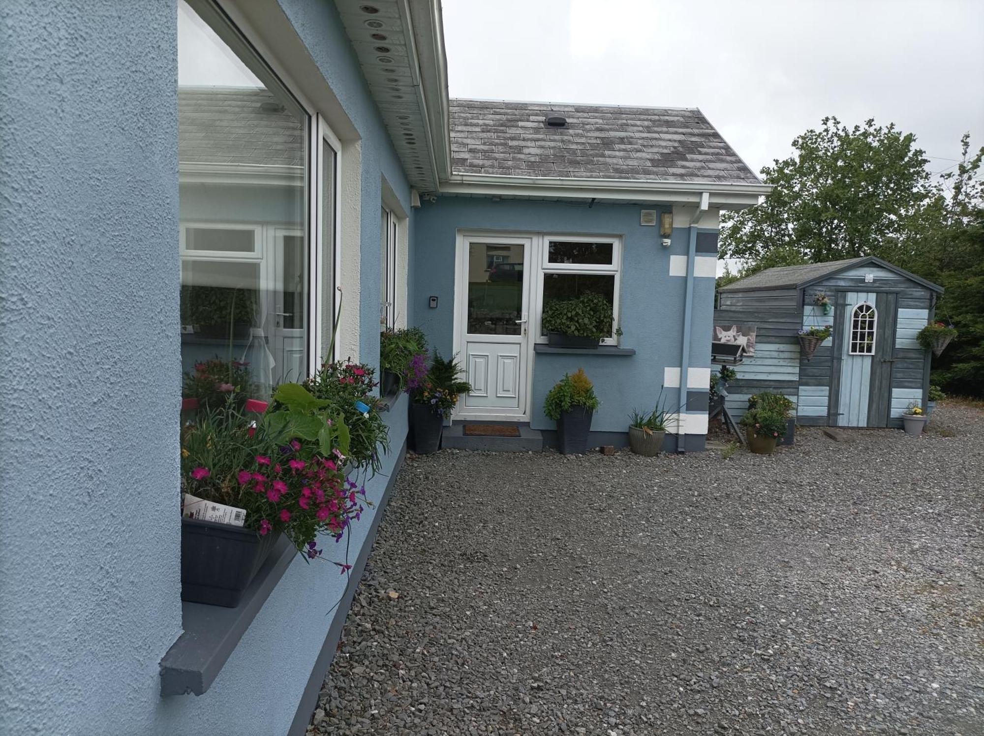 Clifden Wildflower Cottage - Clifden Countryside Lettings Bagian luar foto