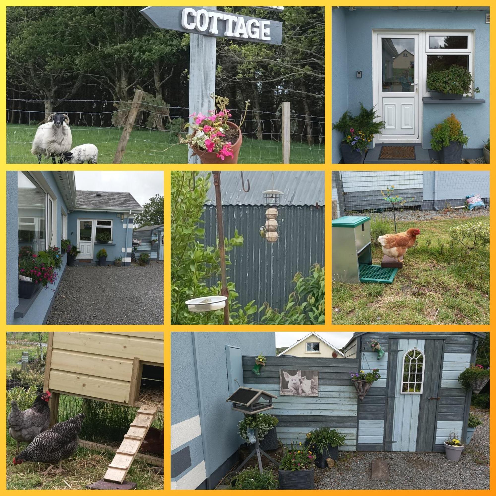 Clifden Wildflower Cottage - Clifden Countryside Lettings Bagian luar foto
