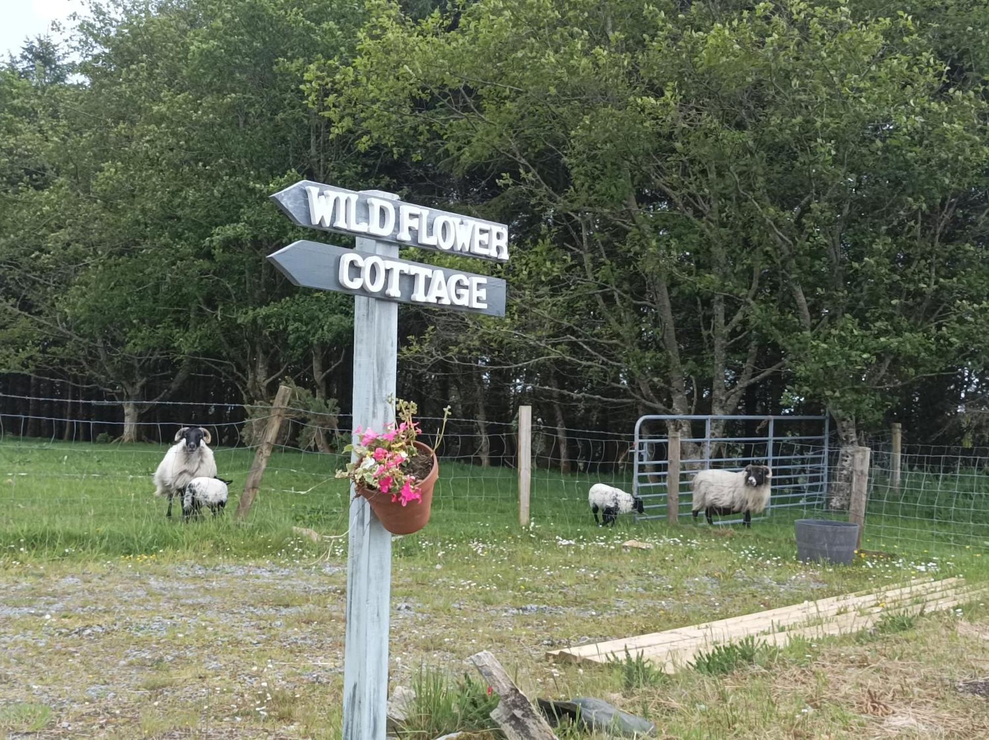 Clifden Wildflower Cottage - Clifden Countryside Lettings Bagian luar foto